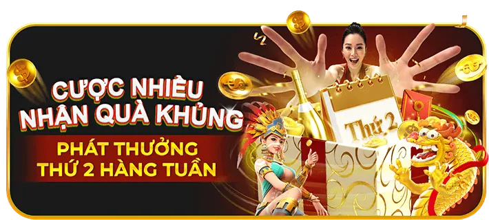 Phân tích ưu đãi Ricwin