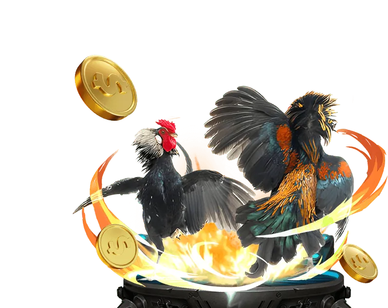 Phân tích xu hướng Ricwin Login 2026